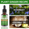 Rosemary Essentiall Oil Hair Growth Products Organic Hair Product