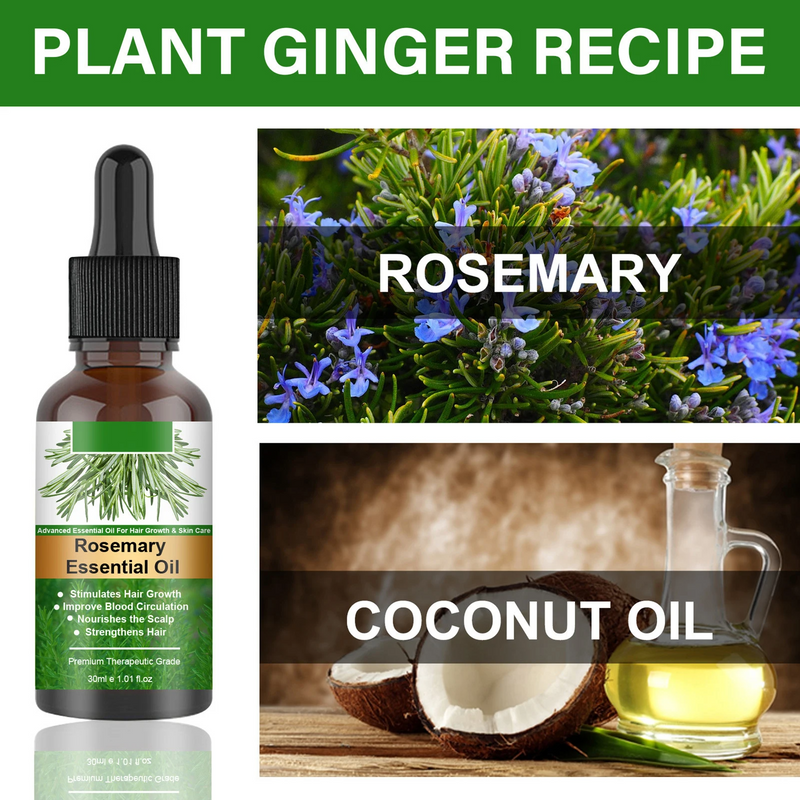 Rosemary Essentiall Oil Hair Growth Products Organic Hair Product
