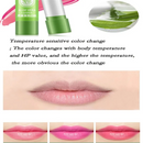1PC Moisturizing Aloe Color Changing Lipstick Long Term Moisturizing
