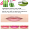 1PC Moisturizing Aloe Color Changing Lipstick Long Term Moisturizing