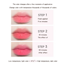 Lip Balm Stocking Stuffers, Moisturizing Lip Care Original